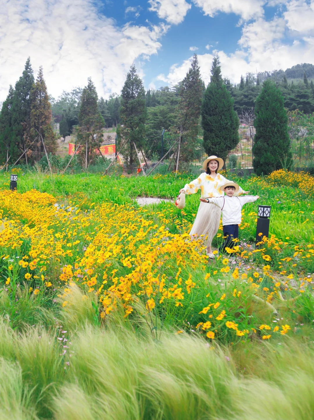 真的有被惊艳到🌼青岛漫山遍野的无人花海