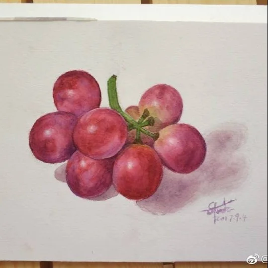 水彩葡萄 宝虹+美捷乐