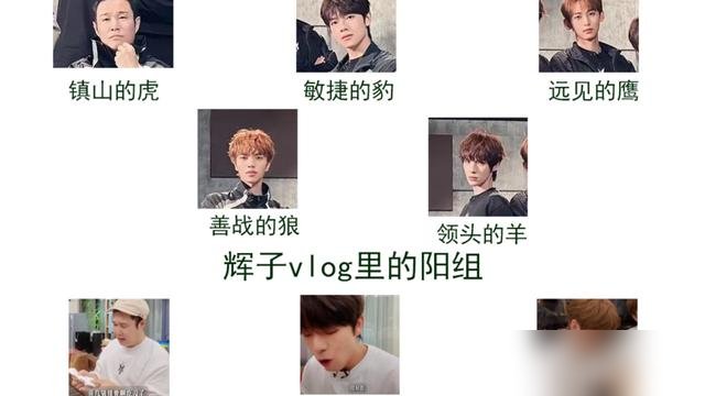 海报上猛兽出笼，镜头一开全在抢排骨，小沈阳这队把《披荆斩棘》玩成了幼儿园。五公直播前，他炖了三袋排骨给队友加餐。曾辉、颜安、唐九洲、管健嘉晨五个人，五分钟连锅底都刮干净了。他端碗粥站旁边，一筷子没动，就后悔少炖两袋。队员喊他“园长”，部落叫“阳阳幼儿园”。可就是这个“幼儿园园长”，一路杀进决赛，跟孙