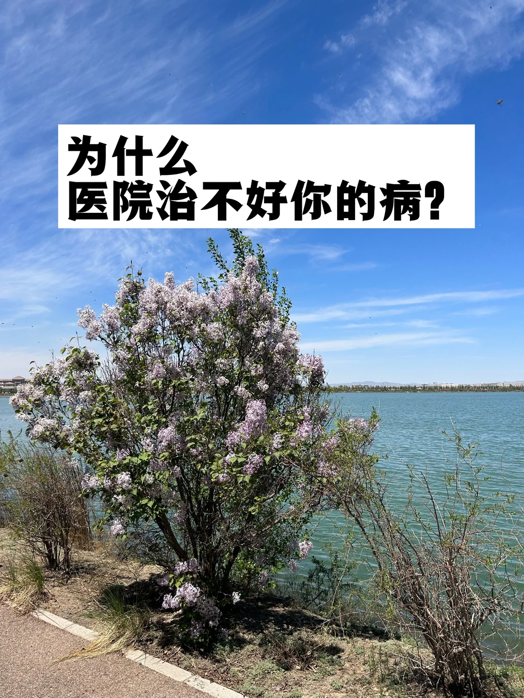 为什么医院治不好你的病？