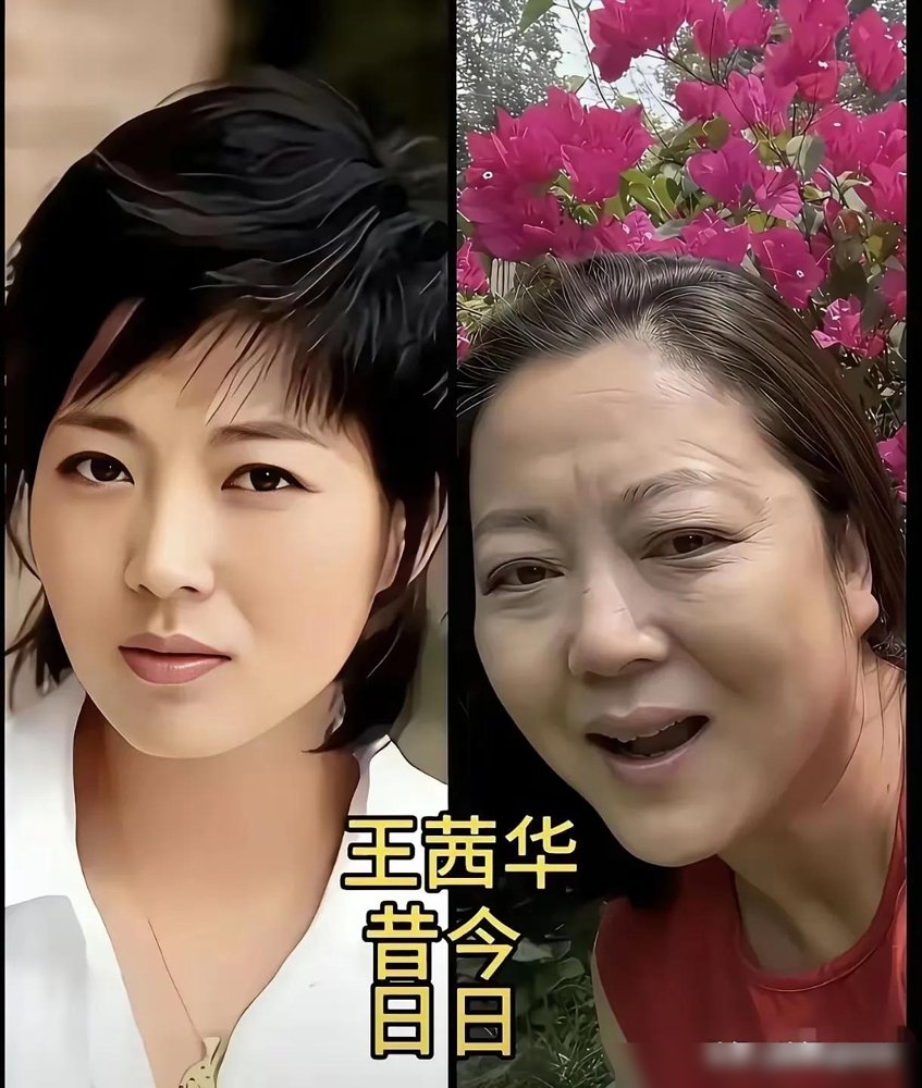 鞠萍姐姐退休了，六一那天站完最后一班岗，整42年。
刷到一张她年轻时的旧照，差点没认出来。清瘦，高挑，脸上一点多余的肉都没有，搁现在能直接出道。跟记忆里那个圆脸阿姨压根对不上号。
再翻陈小艺演《外来妹》那会儿，也是瘦，眼神里全是倔，不磨皮不滤镜，美得扎人。
那会儿的美女是真敢瘦，也真敢老。不立