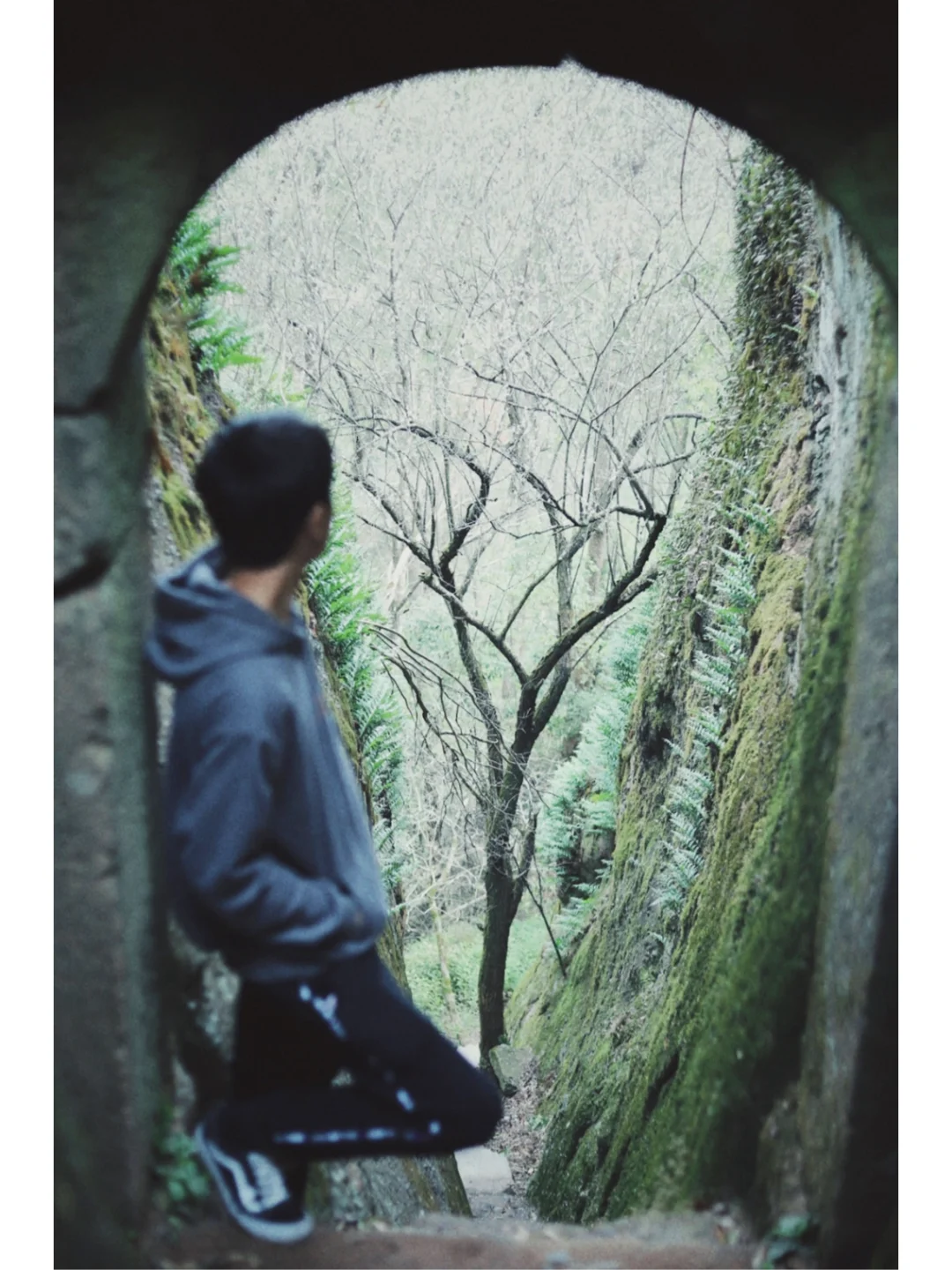 徒步登山+免费素斋🌿少有人知道的福建秘境