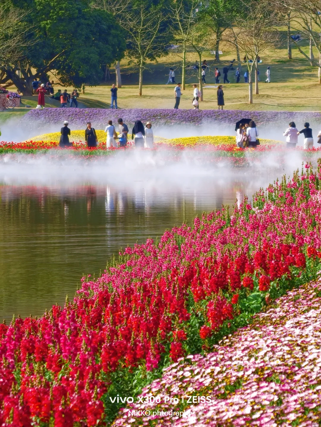 在仙气飘飘的青秀山我拍到了整个春天live