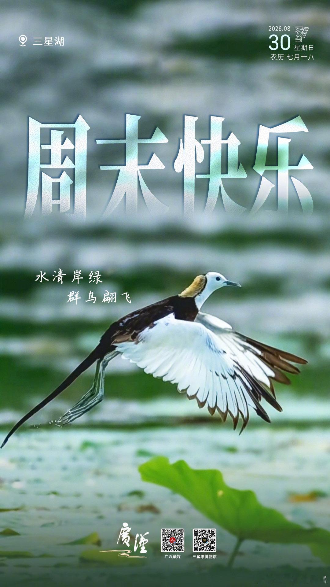周日早啊，像群鸟一样拥抱自然和自在吧。[心]
#堆堆日历# ​