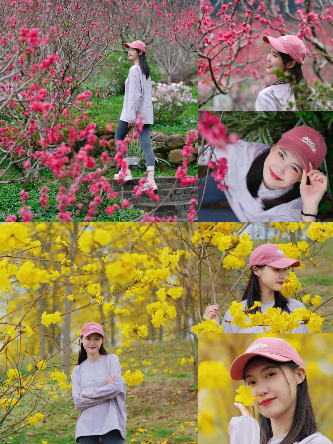 青秀山赏花指南🌸快抓住春天的高光时刻！