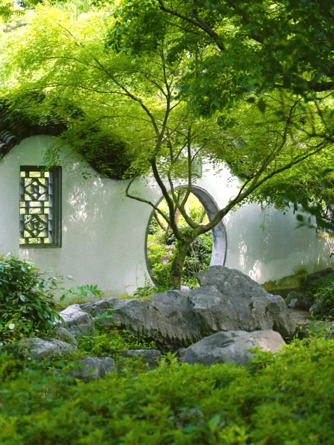 游园惊梦‼️在杭州误入《红楼梦》的原型地！