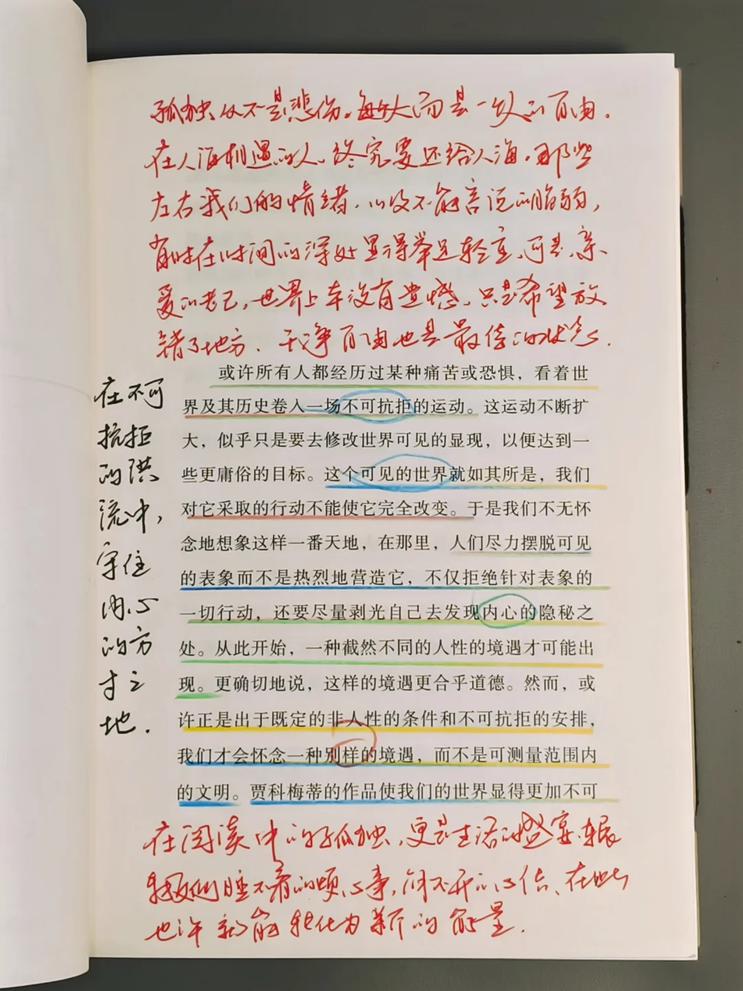 😭我该怎么告诉大家，这本书有多好！！