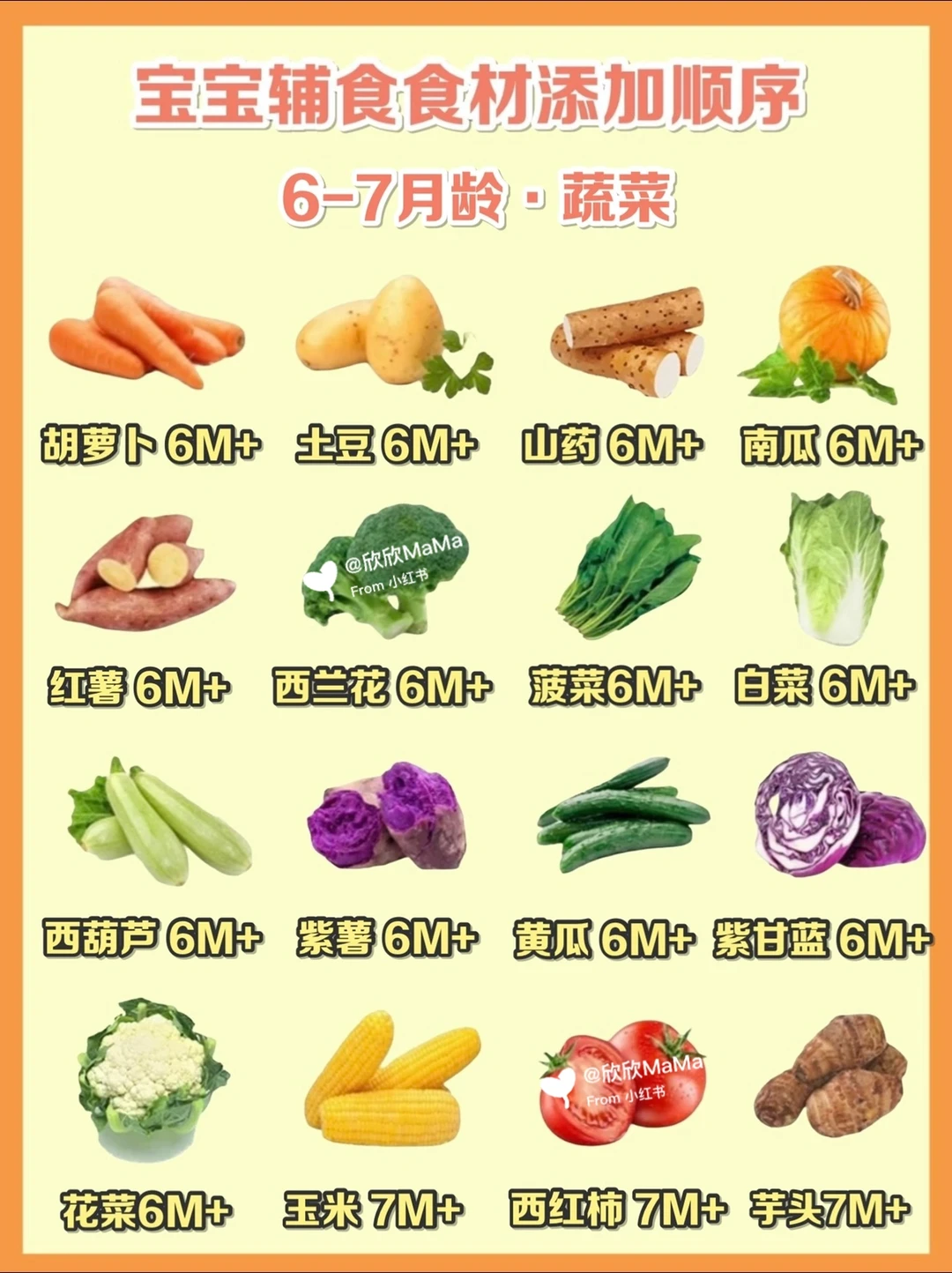 最全6-24月宝宝辅食添加顺序｜按月整理收藏✅