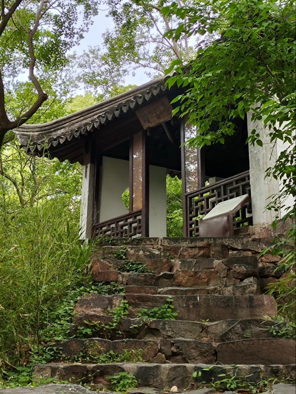 来读书台的时候是早上七点，天刚亮没多久，叶子上的露水还没干。