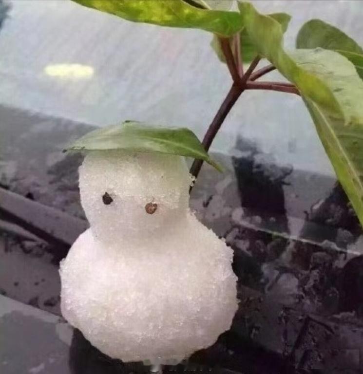 #超强厄尔尼诺来了广州今冬会飘雪吗？#国家气候中心确认：2026年9月已正式形成一次超强厄尔尼诺事件，将成为有系统性监测以来最强一次，预计秋末冬初达到峰值，持续到明年春季。

受其影响，广东容易出现暖冬，但暖冬≠天天暖。专家提醒，今冬更可能出现极暖、极寒交替，强寒潮、强降水等极端天气风险 ​