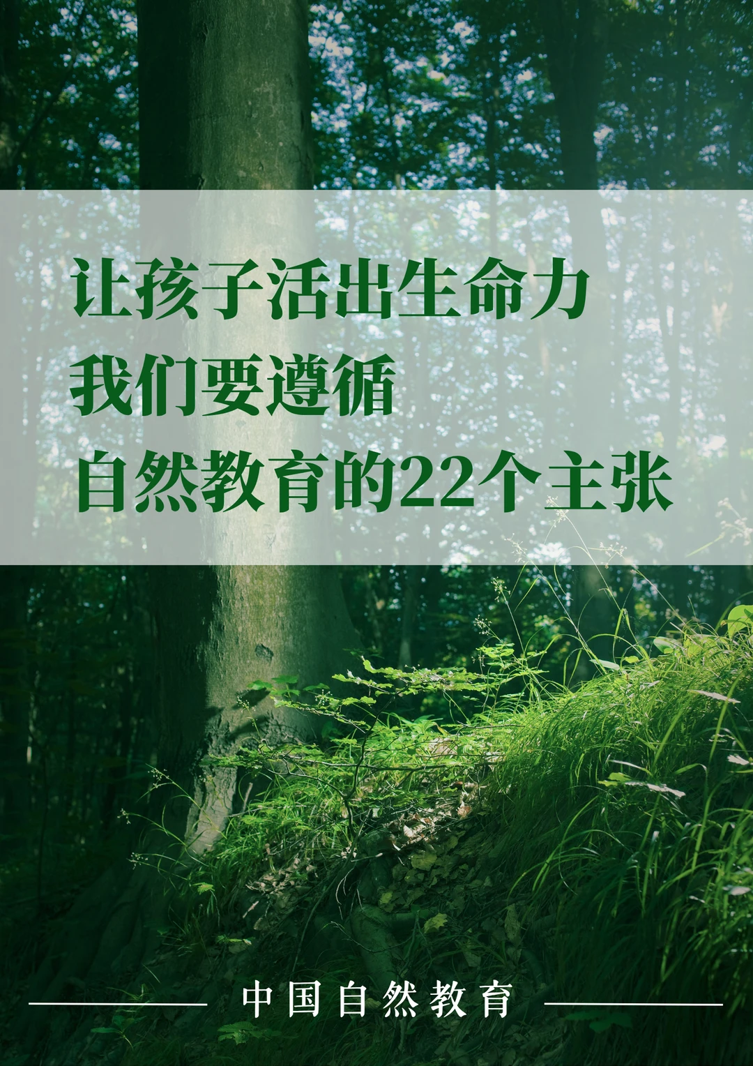 让孩子活出生命力｜我们要遵循自然教育的22个主张（一） 自然，对一个孩...