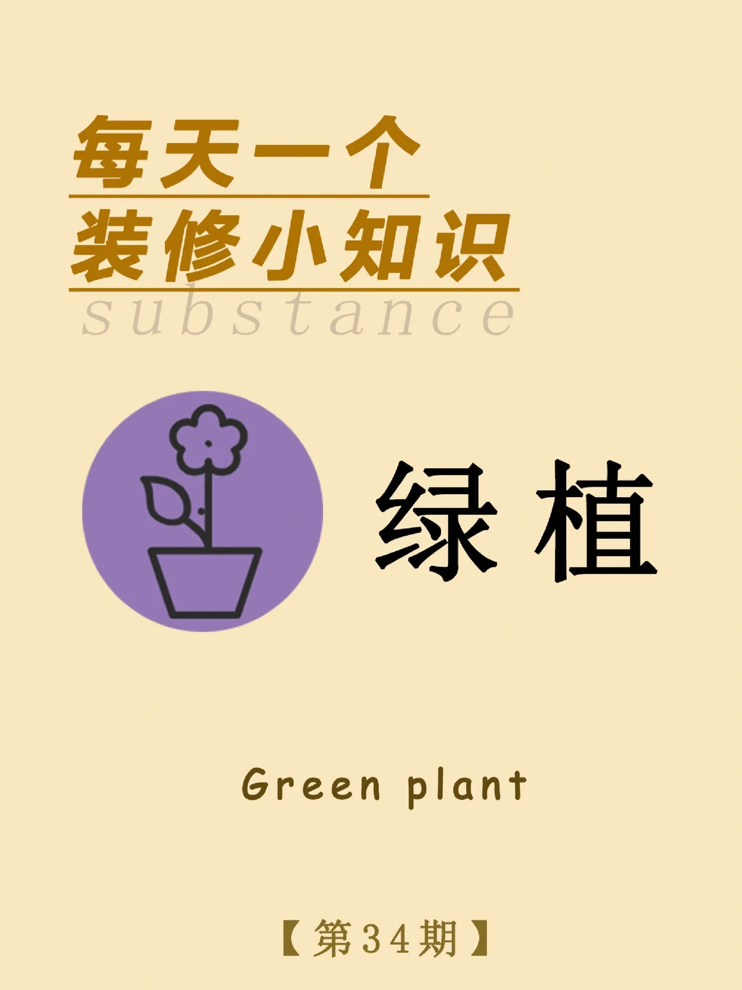 每天一个装修小知识：绿植