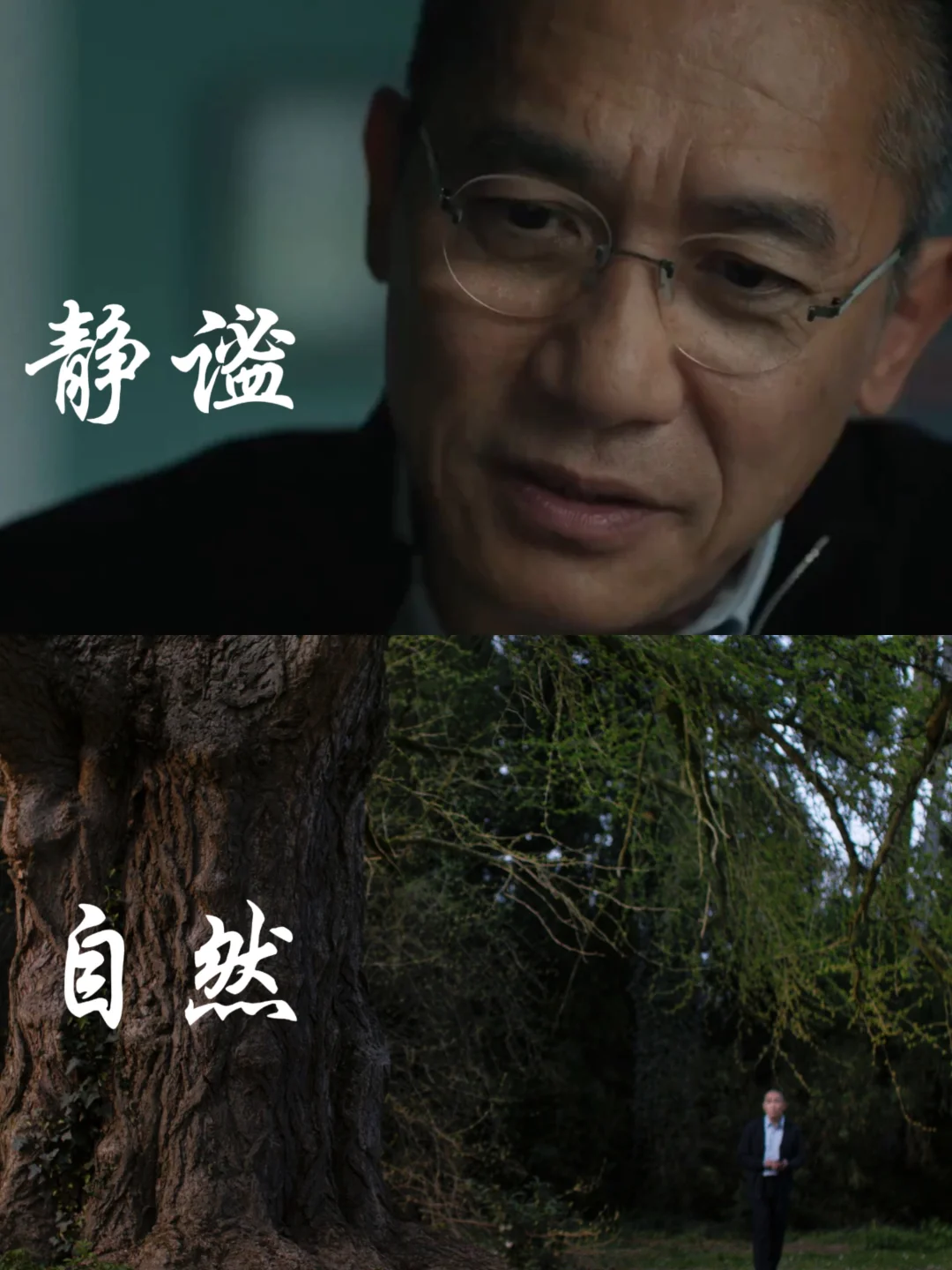 豆瓣8.0‼️这才是春天该看的电影‼️