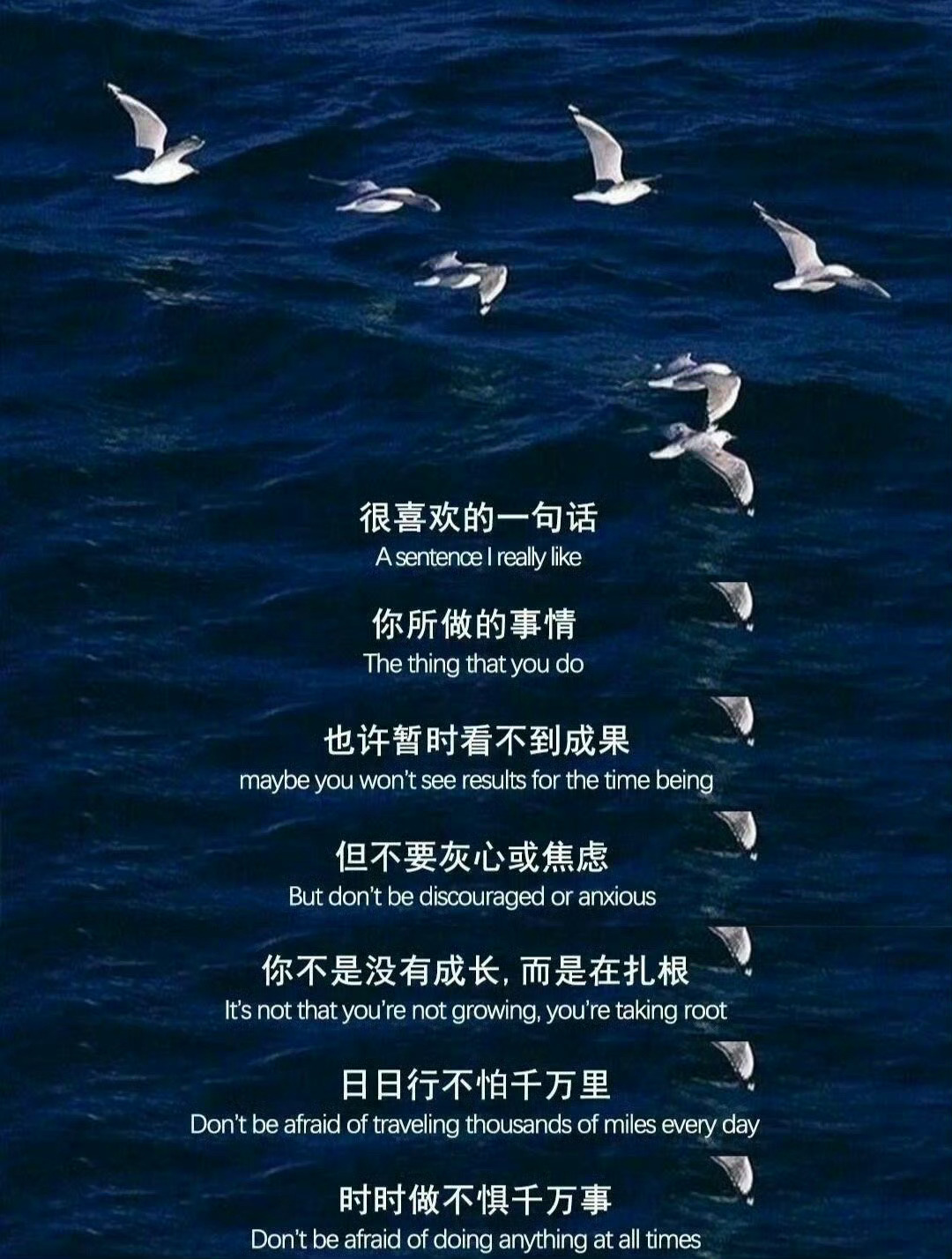 很喜欢的一句话：你所做的事情，也许暂时看不到成果，但不要灰心或焦虑，你不是没有成长，而是在扎根，日日行不怕千万里，时时做不惧千万事。 ​​​