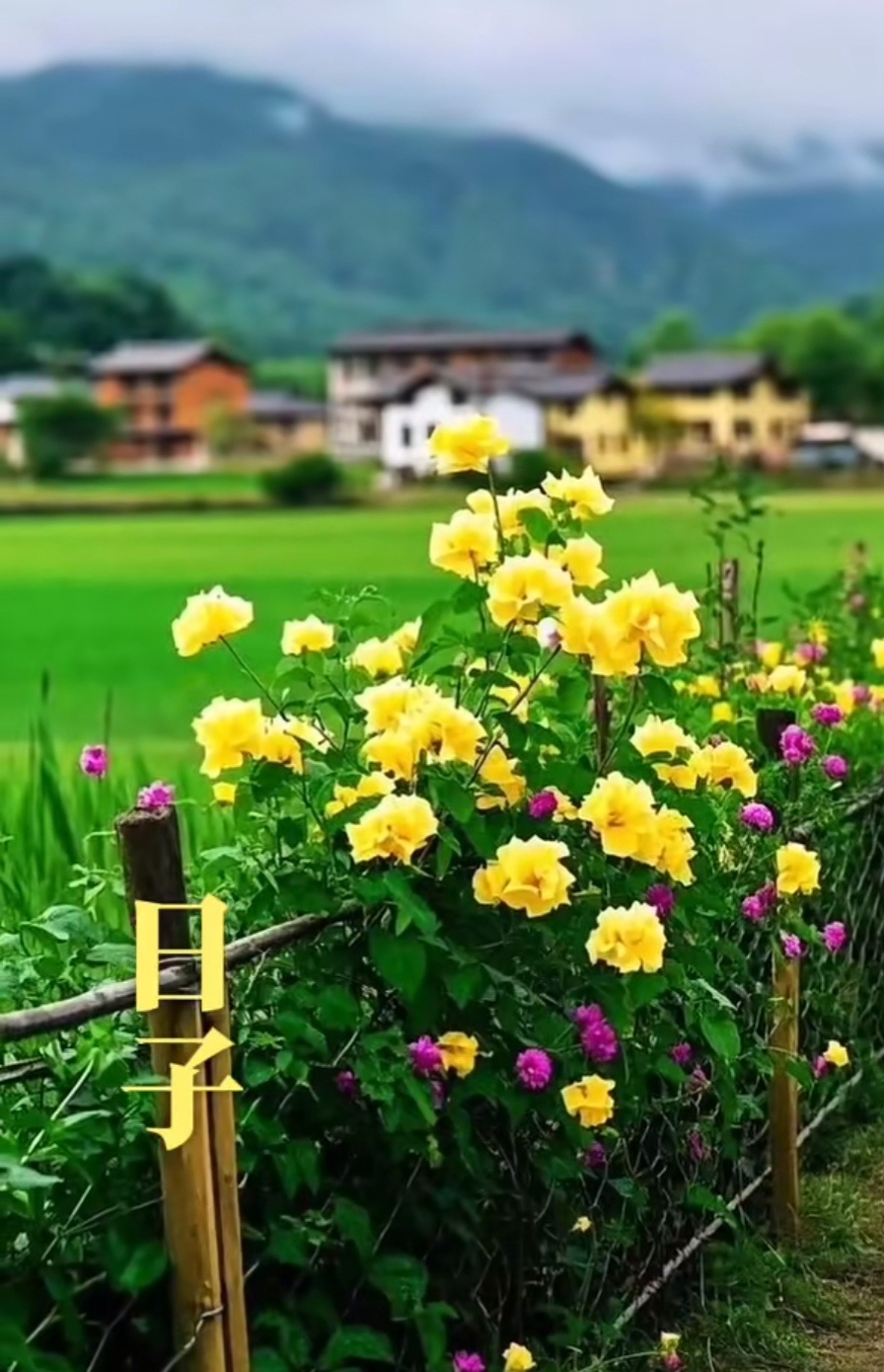 [超话]  人生就像马拉松，获胜的关键不在于瞬间的爆发，而在于途中的坚...