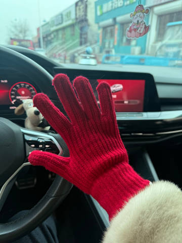 羡慕有方向盘加热的人