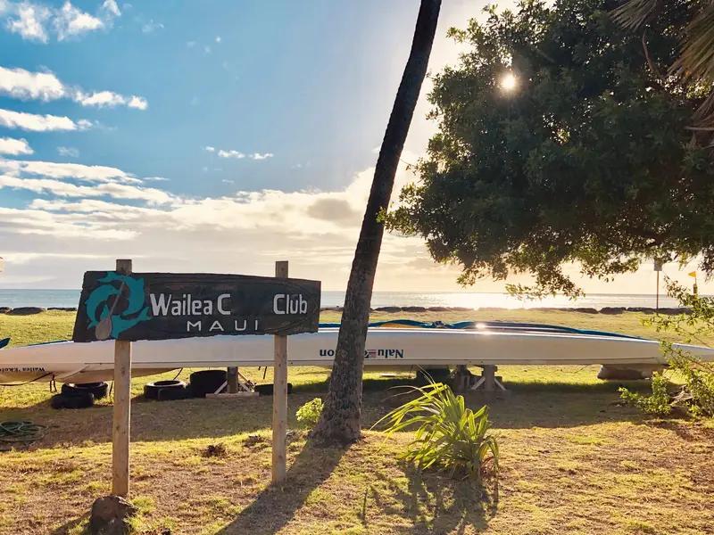 2025 年的纯欲天花板，《爱的学校。》必须拥有姓名！导演西谷弘和编剧...