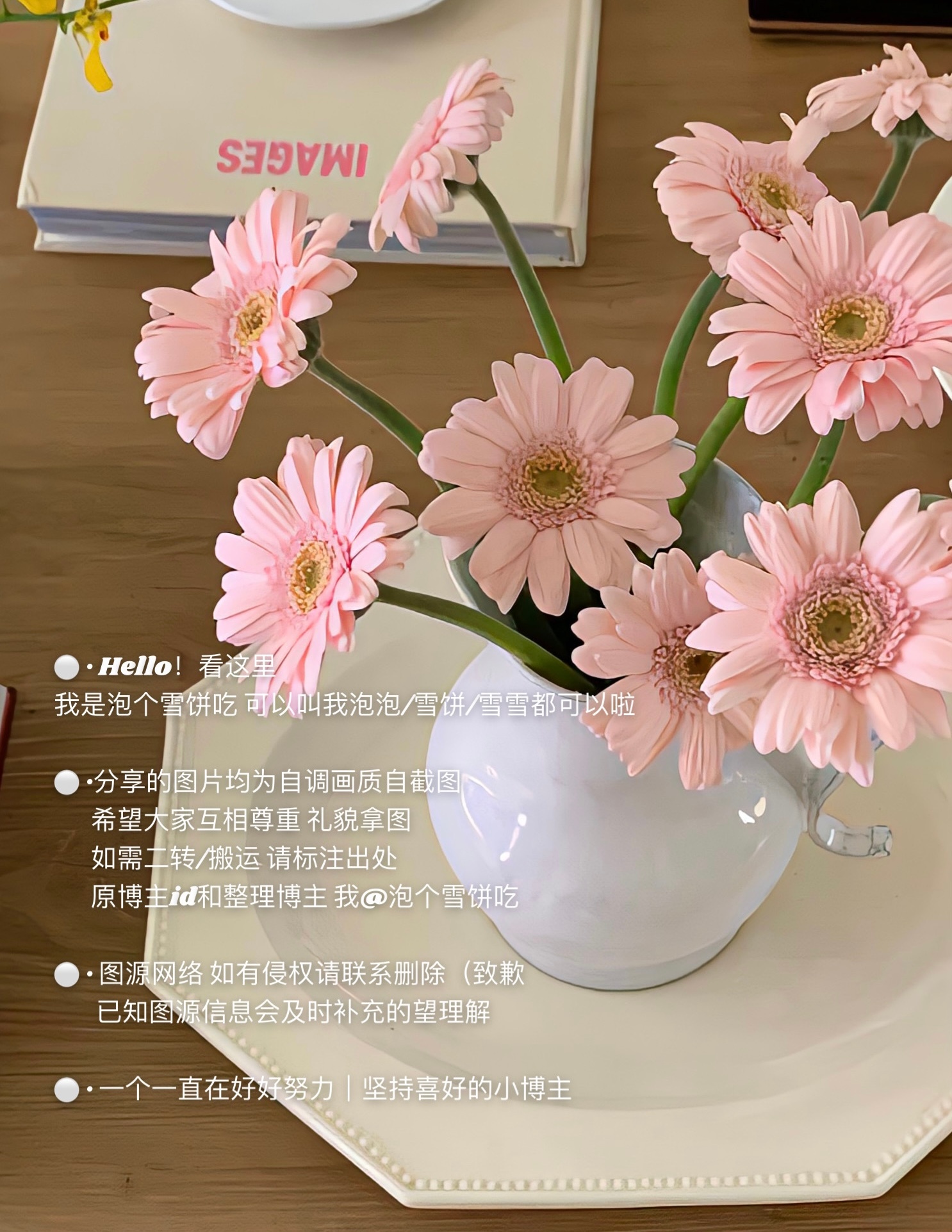 🌷//：一条短短的自我介绍            很高兴认识你 我的朋友♡ ​​​