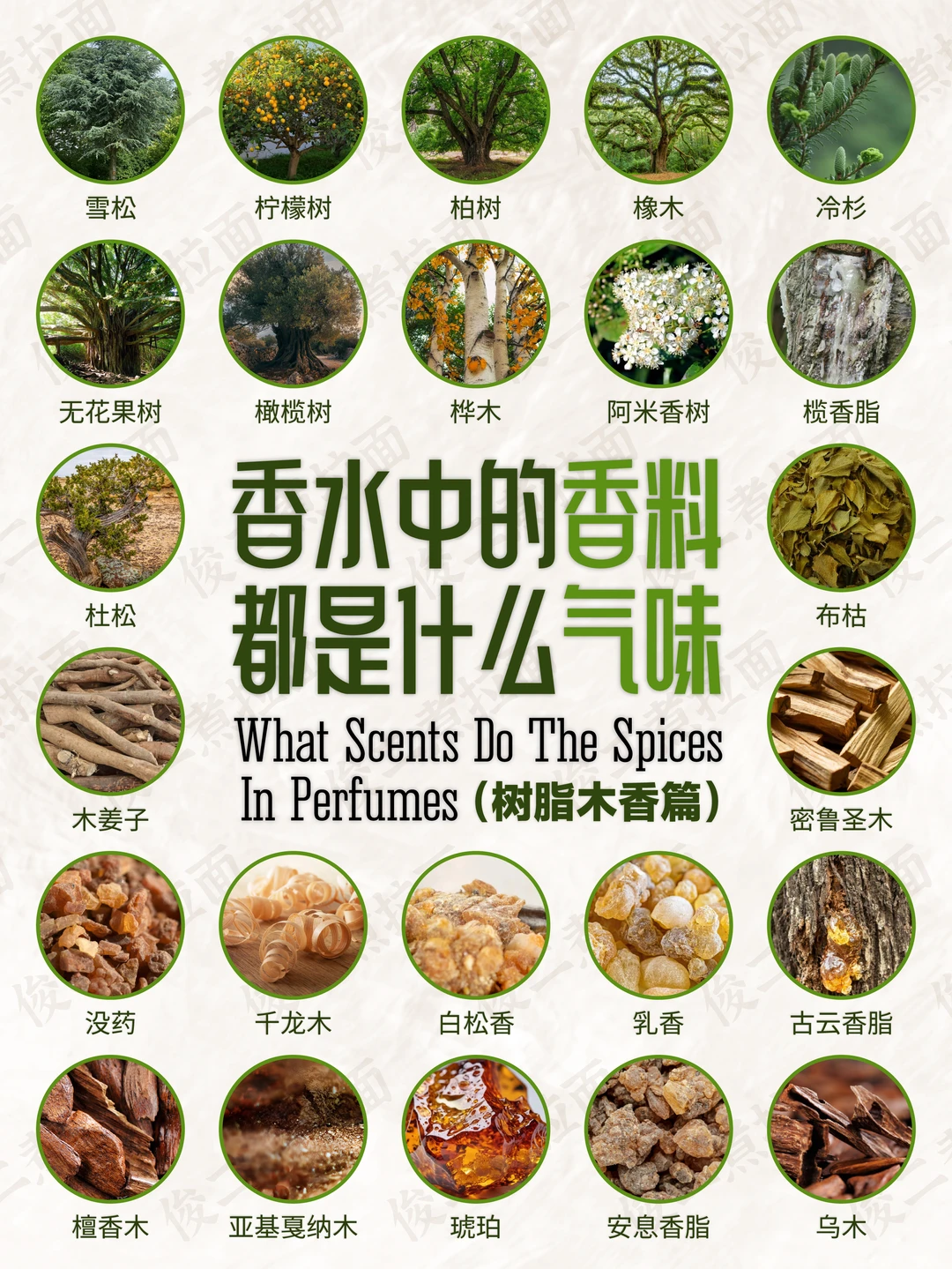 香水中的香料都是什么气味（树脂木香篇）