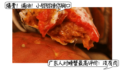 #双节吃月饼螃蟹别踩这些坑#

螃蟹营养丰富，高蛋白、低脂肪，还自带锌、硒、碘等多种矿物质元素，适当吃对身体很有益。

但要注意，如果你买回来的螃蟹已经噶了，赶紧扔！

因为螃蟹一死，免疫系统就崩了，体表和肠道，会自带超多细菌，比如副溶血弧菌等。细菌疯狂分解高蛋白，1 小时内，就会产生组胺 ​