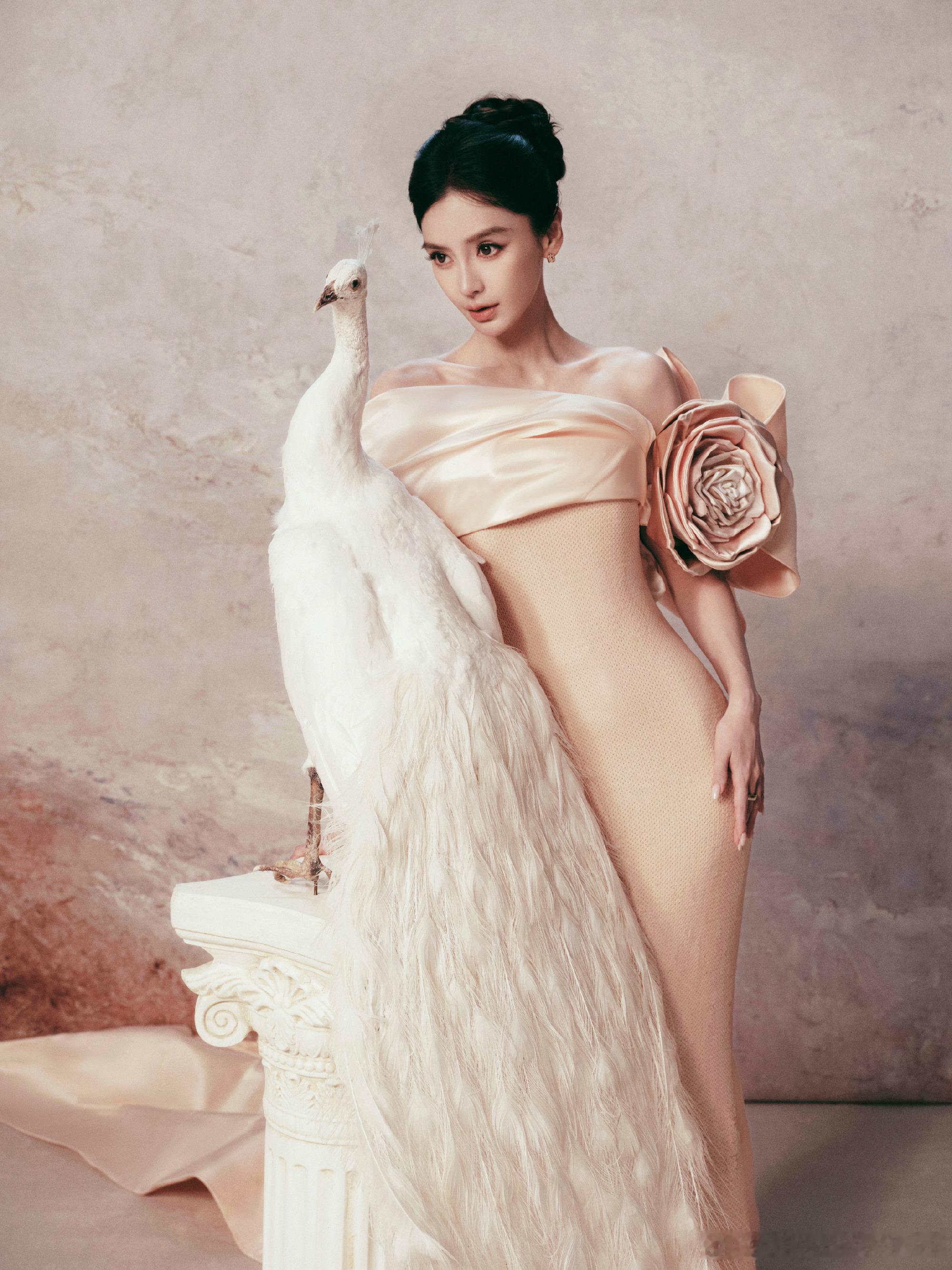 #Angelababy高定自由##Angelababy玫瑰花高定#太美啦，完全美神降临来的，美美的图对我的眼睛很好[爱慕]
恭喜高定女王Angelababy解锁第151套高定啦！[比耶]#angelababy##angelababy[超话]# ​