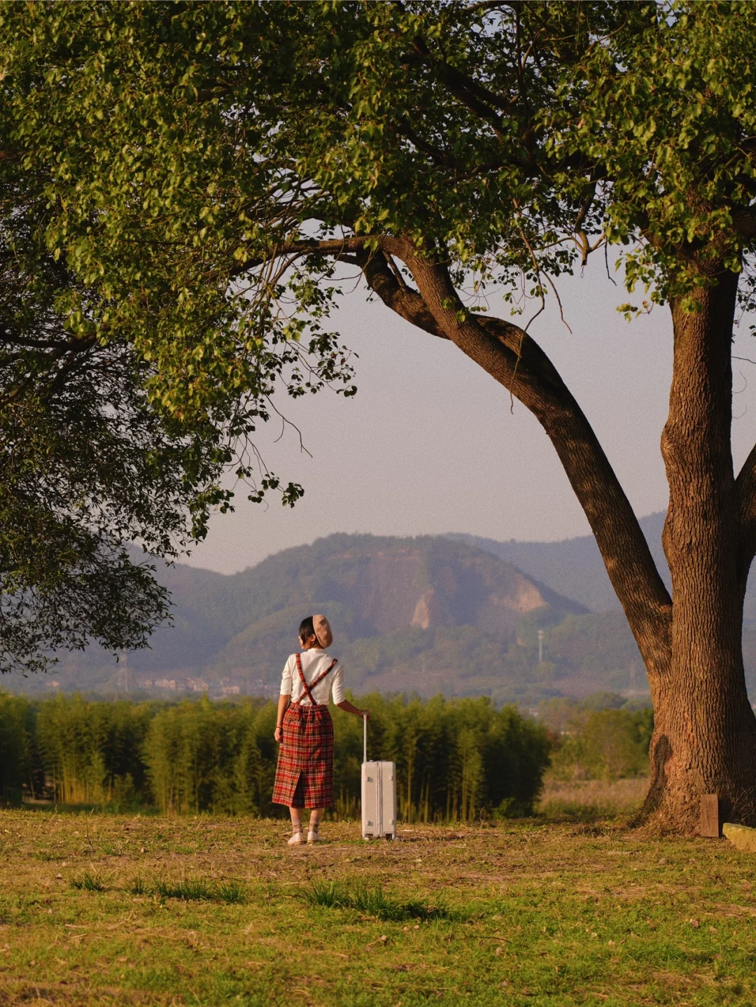 杭州秋色｜一定要去良渚‼️拍出电影海报感