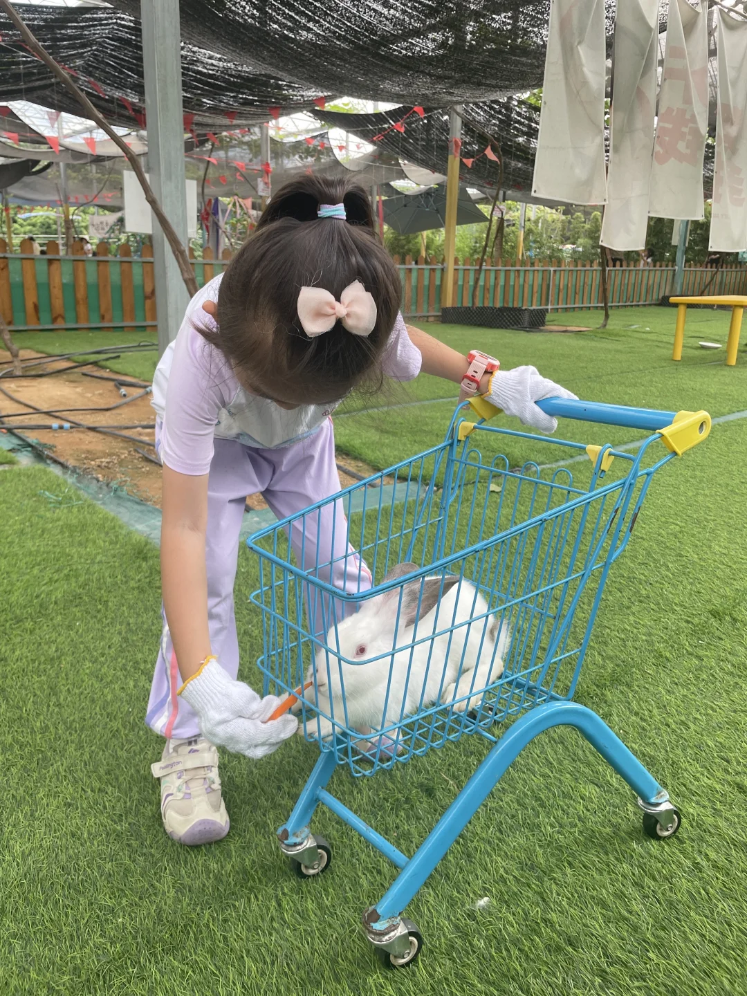 到了33岁我才开始理解生娃对我的重大意义