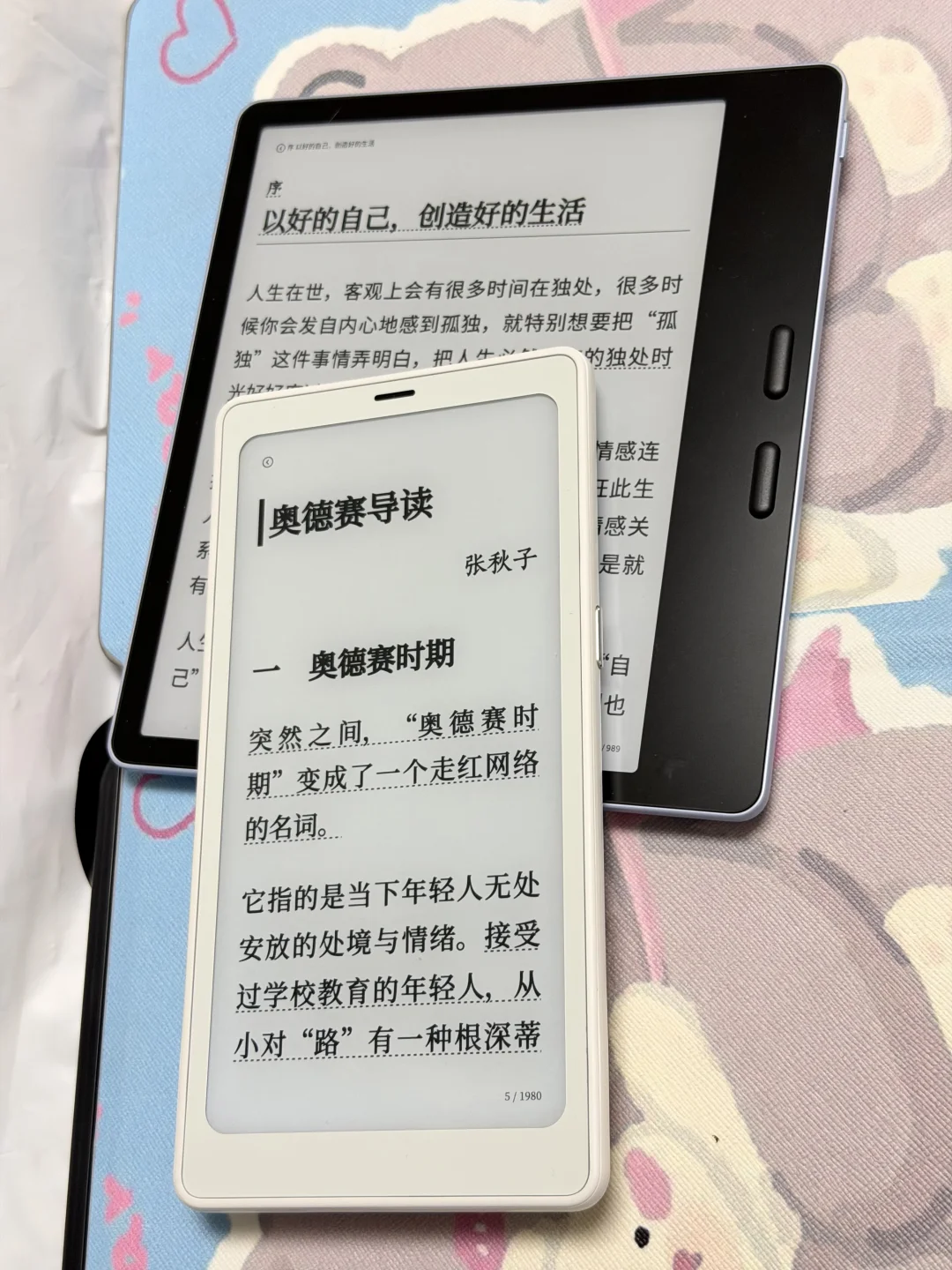 阅读器这东西就是有了大的，就想要小的