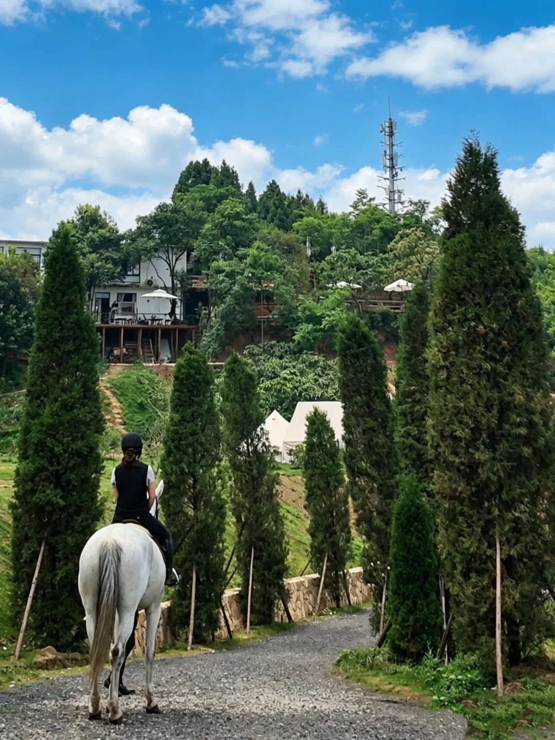 户外新技能get√ ！骑马太治愈了🐎