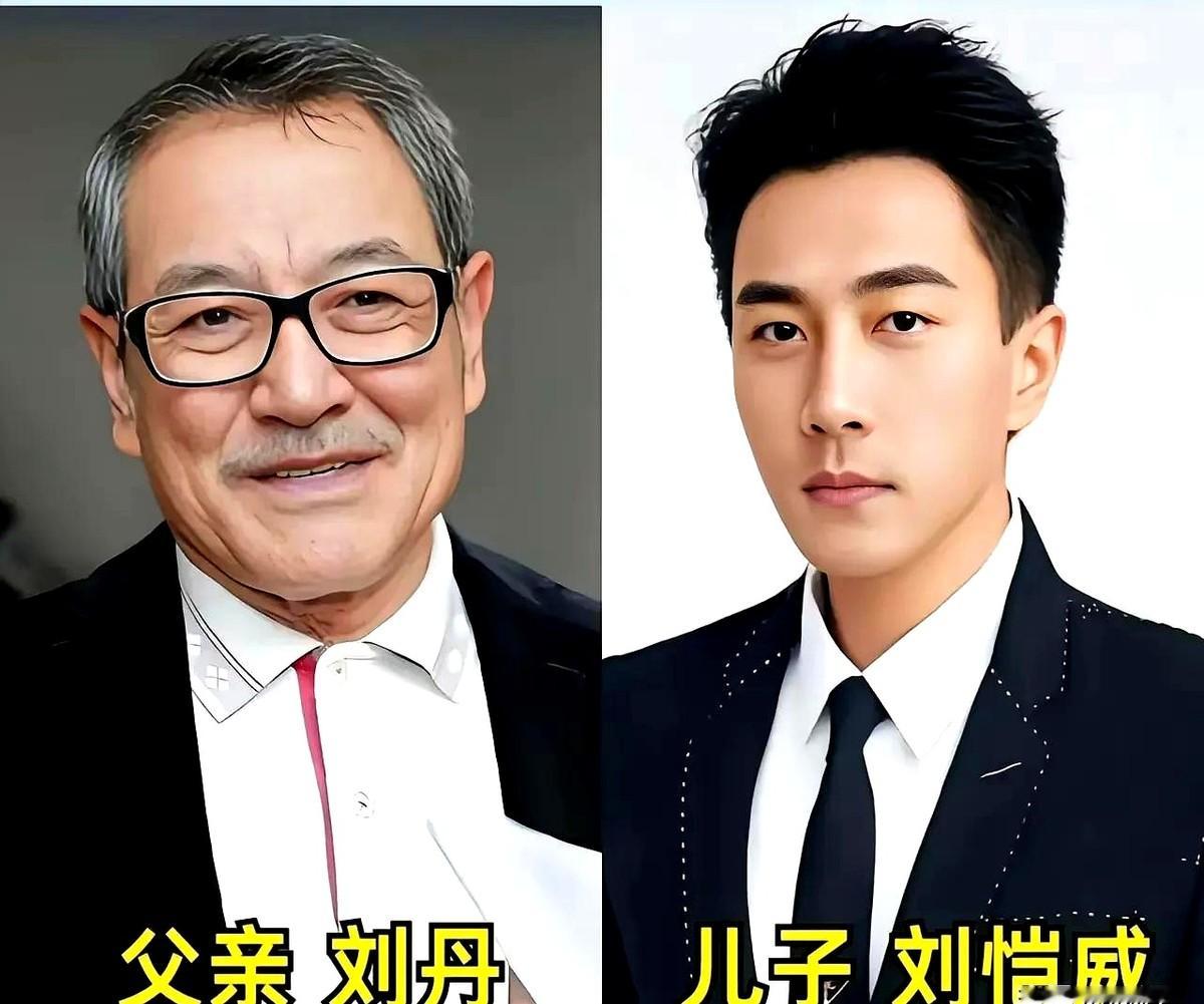 把寇振海和儿子的照片摆在一块，你会怀疑这根本就是同一个人。

娱乐圈的“复制粘贴”到底有多狠？老戏骨刘奕君刚在屏幕前演完反派，转头一看，儿子刘怡潼连那股子挑眉的眼神都学了个十成十。

刘丹和刘恺威，连下颌骨的弧度都一脉相承。杜志国传给杜淳的不光是浓眉大眼，连端饭碗的戏路都照搬过来。侯天来和侯迪往街上