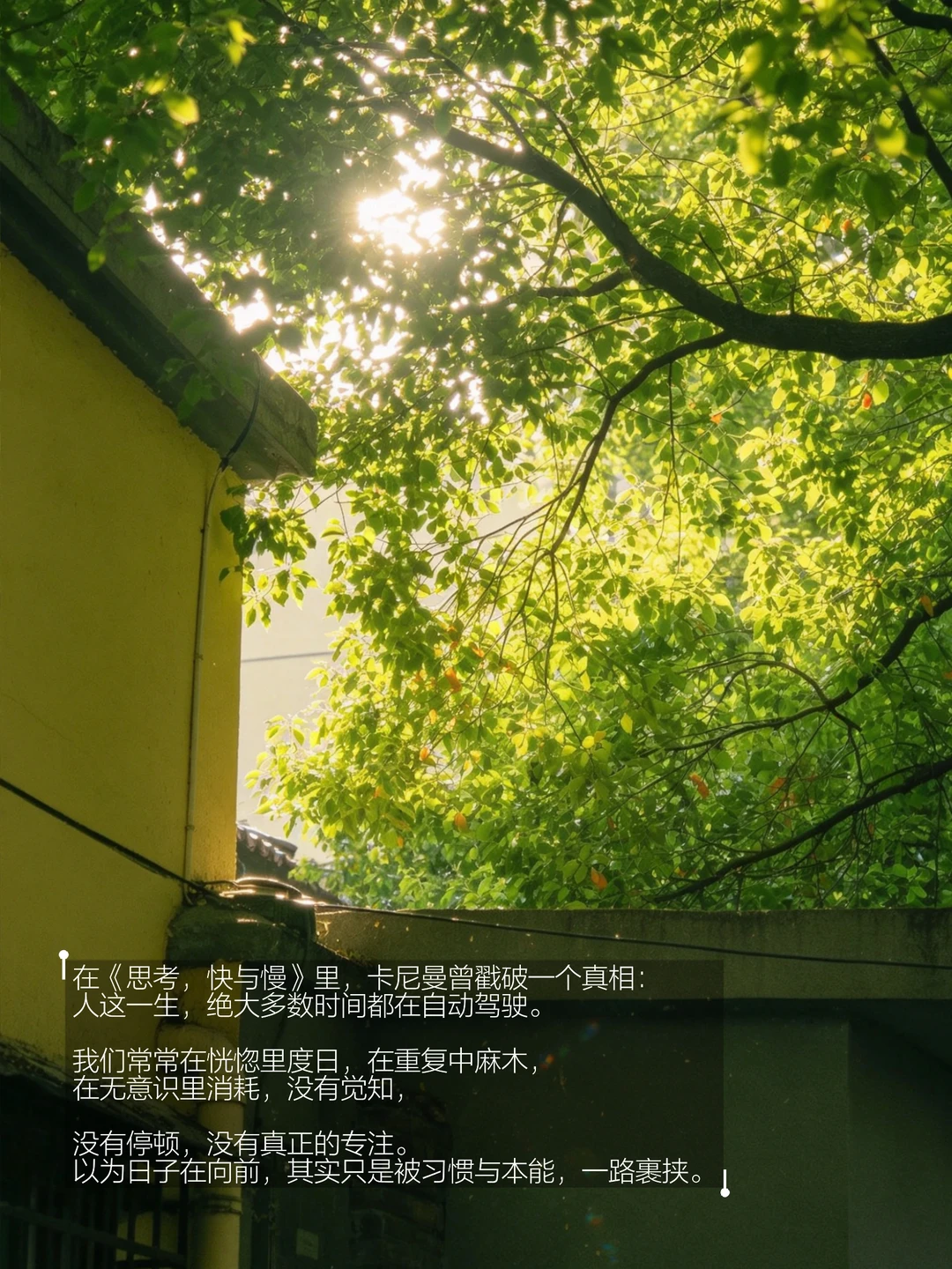 春天，建议大家一定要高频地记录自己。