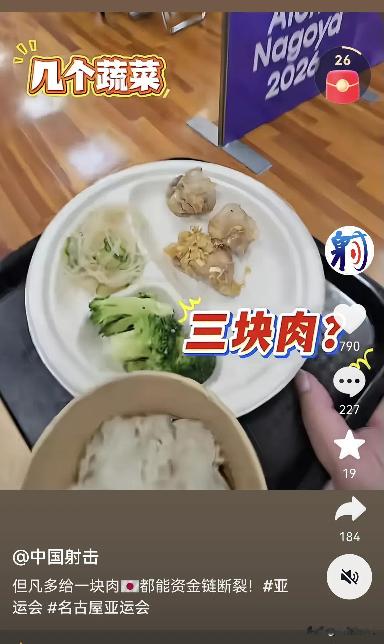 亚运会成年运动员标准伙食，两粒蔬菜，三块肉。这个预算太牛逼了。