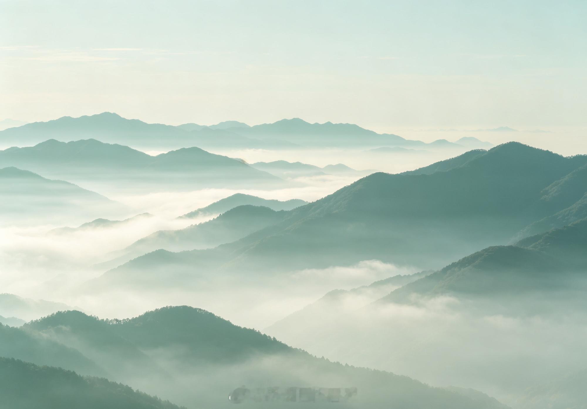 【短评│守好一方青绿，方能留住万千生灵】       近年来，我市立足...