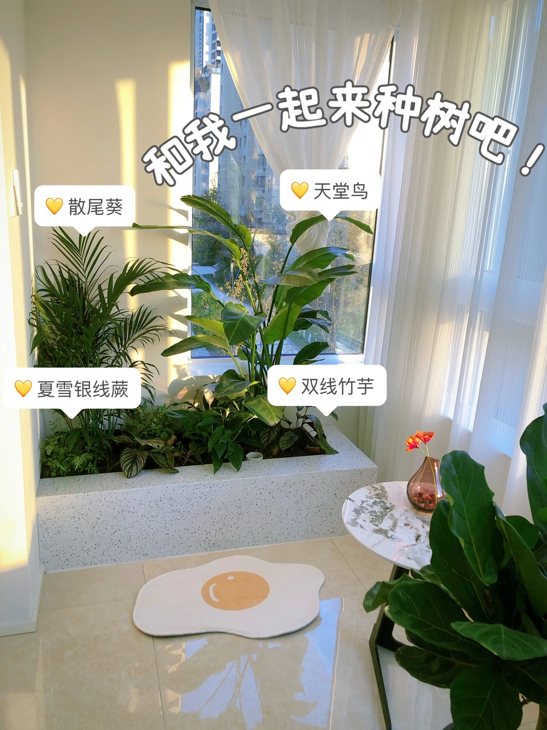 只要200💰和我一起打造室内阳台花池吧！