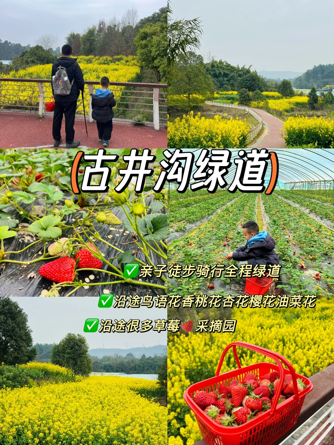 南门出发40min‼️古井沟绿道徒步赏花路线