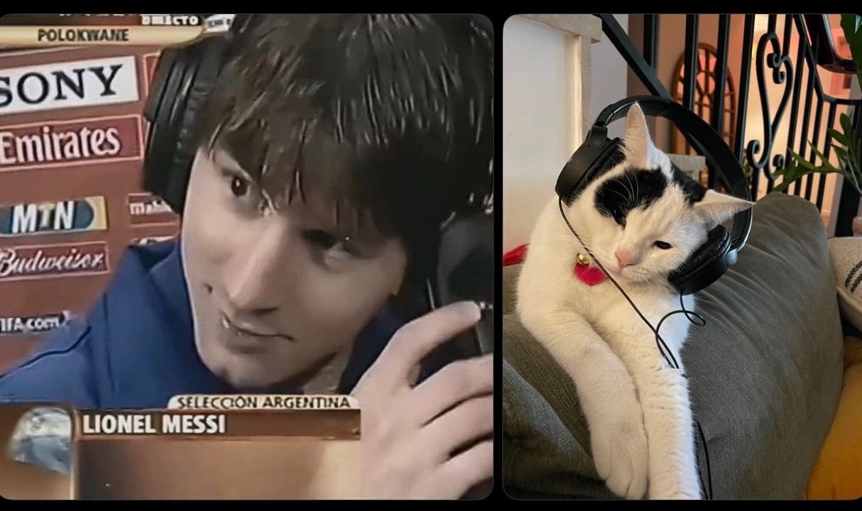 可爱！！Instagram首页推荐了一组梅西和小猫的图！🐐🐈

#梅西##梅西[超话]# ​