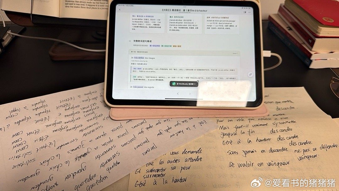 开始备战《太阳王》了哈哈哈🤣
AI真是个好东西，用workbuddy给自己做了一套量身定制的法语教材，根据我的水平精读解析歌词，太适合我了[偷笑]
先学他个八首歌浅浅尝试下，等背完歌词再来试试其他的 ​