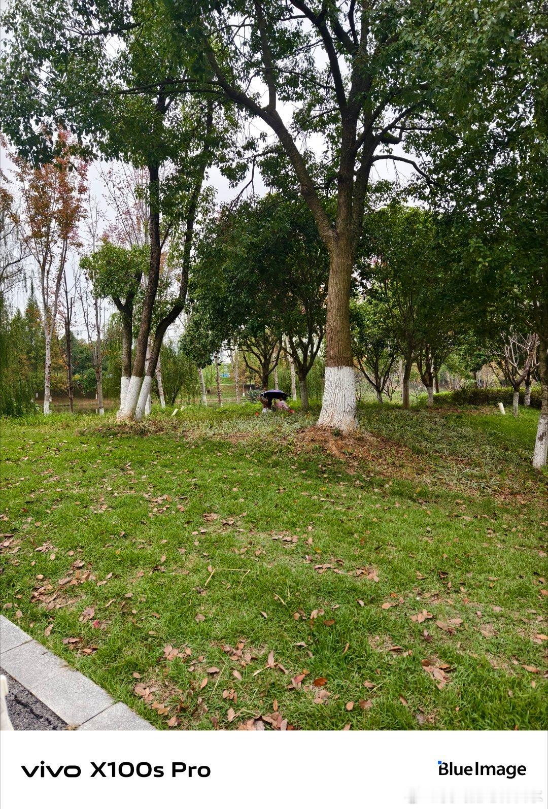 #vivo[超话]# 去山里露营，帐篷外的树叶被风吹得沙沙响，像在唱摇篮曲，我躺在里面听着听着就睡着了，连梦都是绿色的。 ​