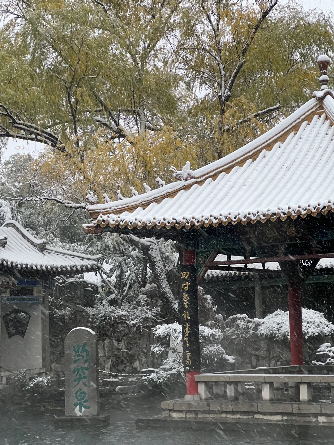 济南！！雪中趵突泉杀疯了！！！