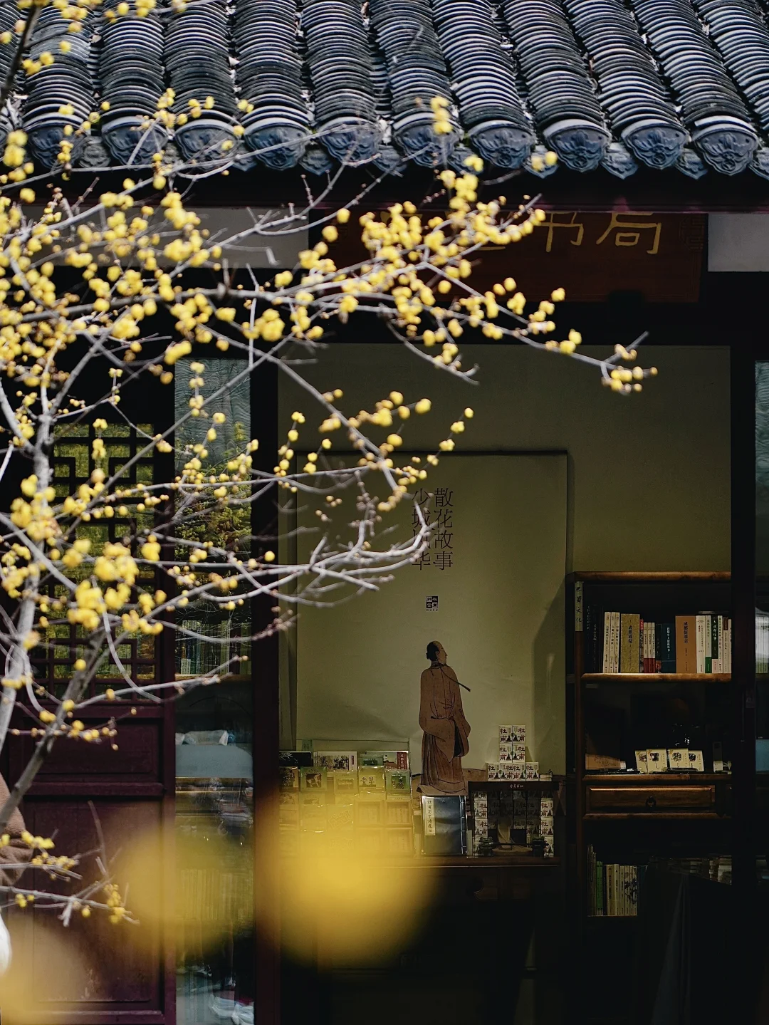 杜甫先生，你知道你家腊梅这么火吗？！