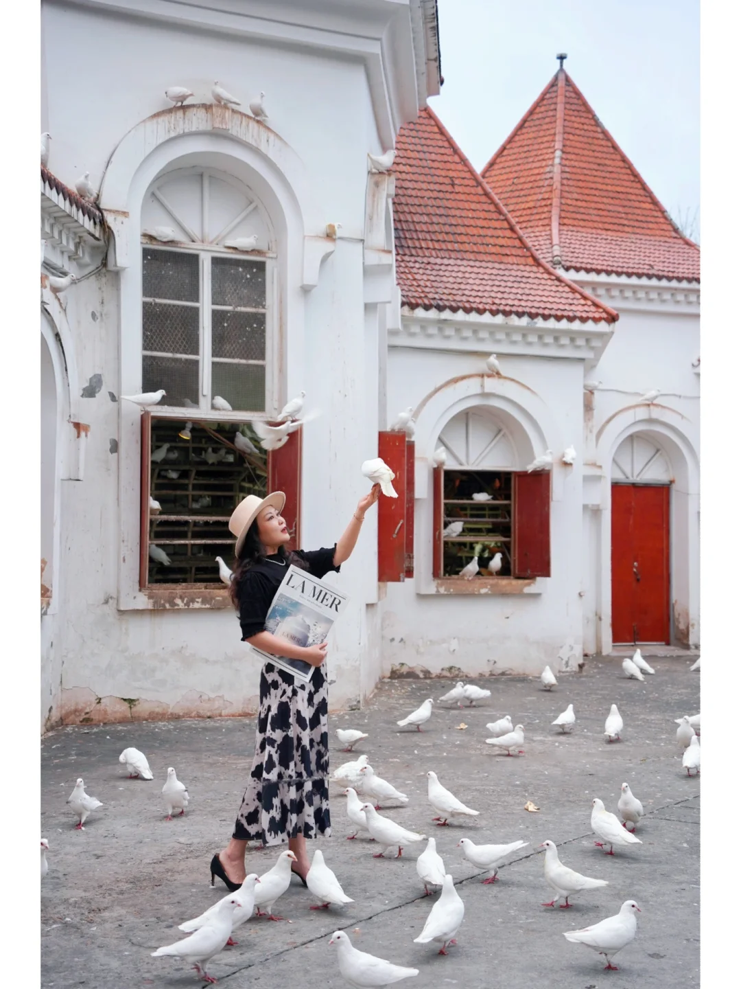 说走就走的旅行｜我要去布拉格广场喂鸽子