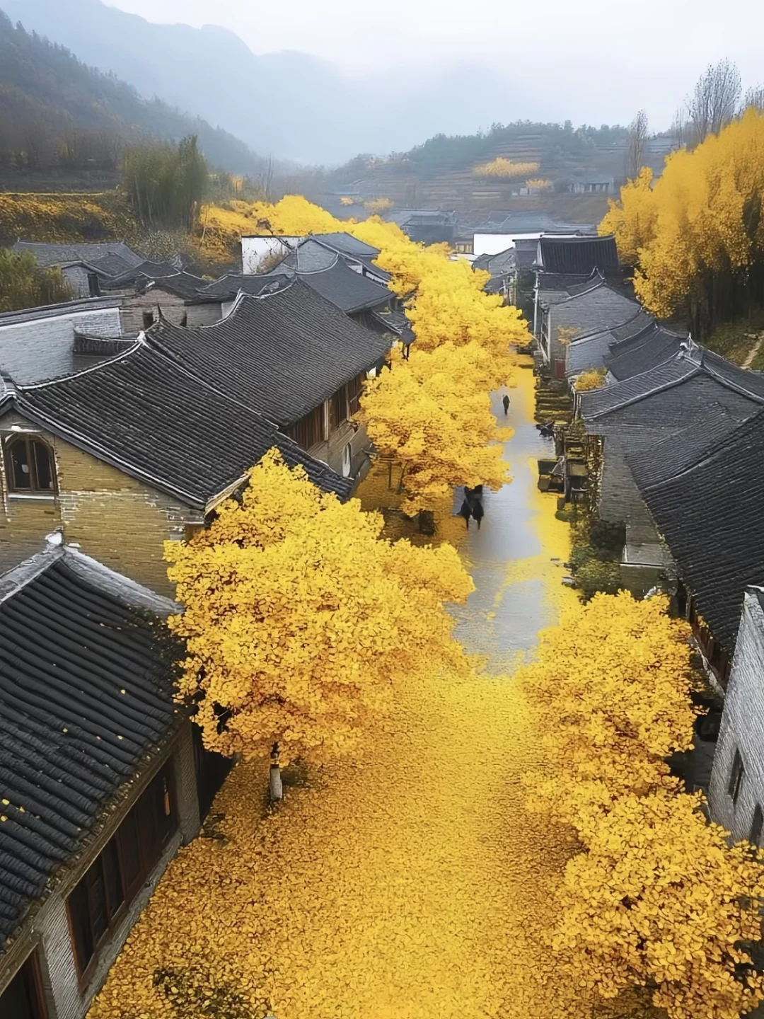 人生建议🍂9-10月一定要来腾冲看秋日童话