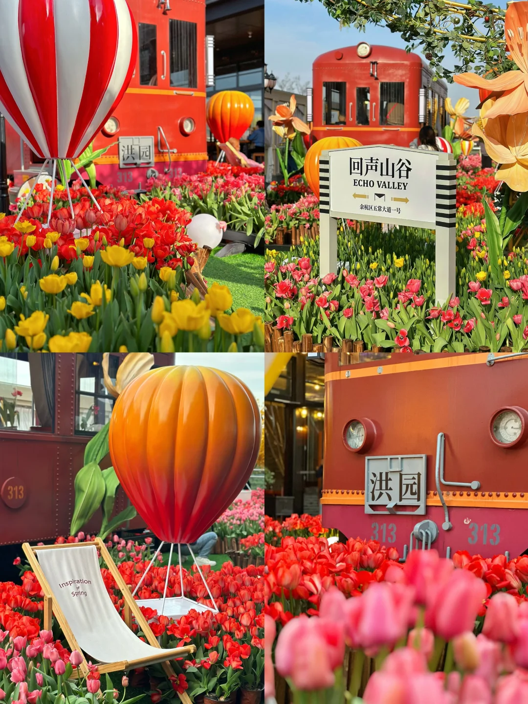 太子湾太挤！不如来天台看郁金香花海！