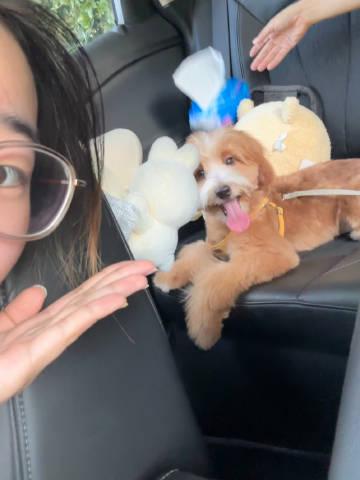 洗好澡了香香的小北北