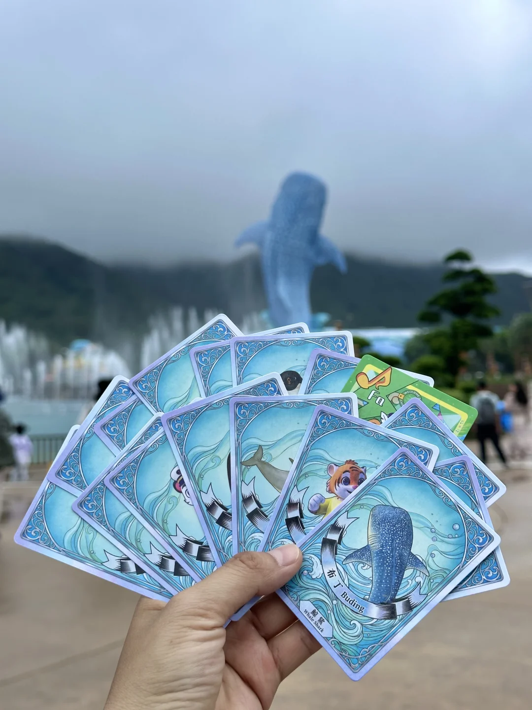 海洋王国暑假集卡攻略来啦 | 一天拿下14张