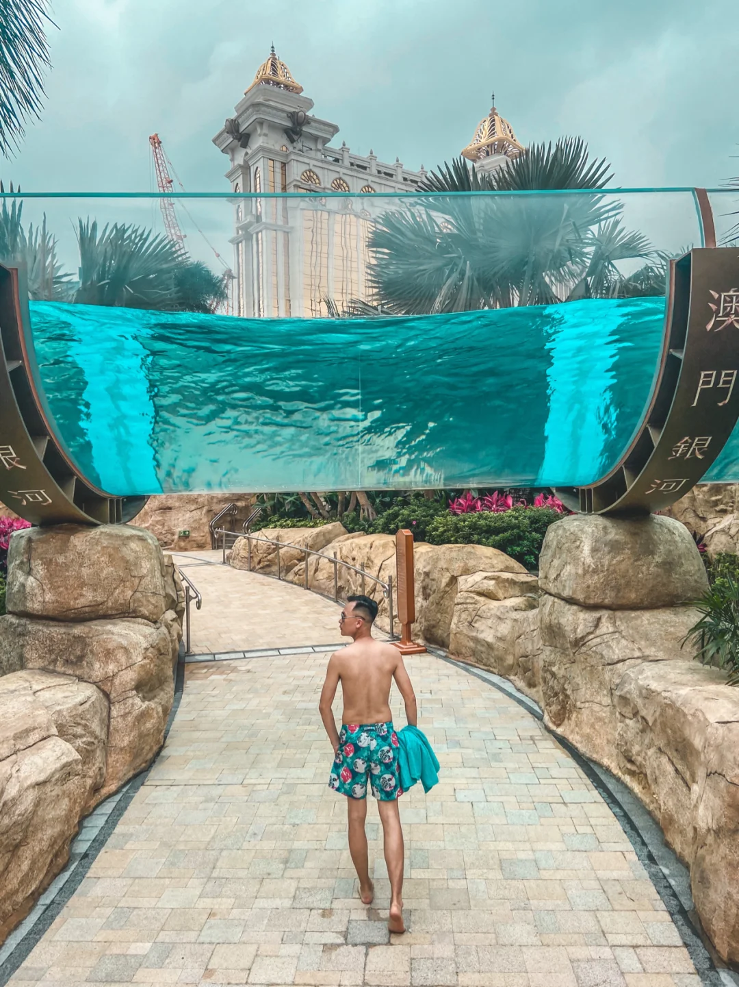 玩水可以这么高级｜澳门，属于夏天的快乐星球