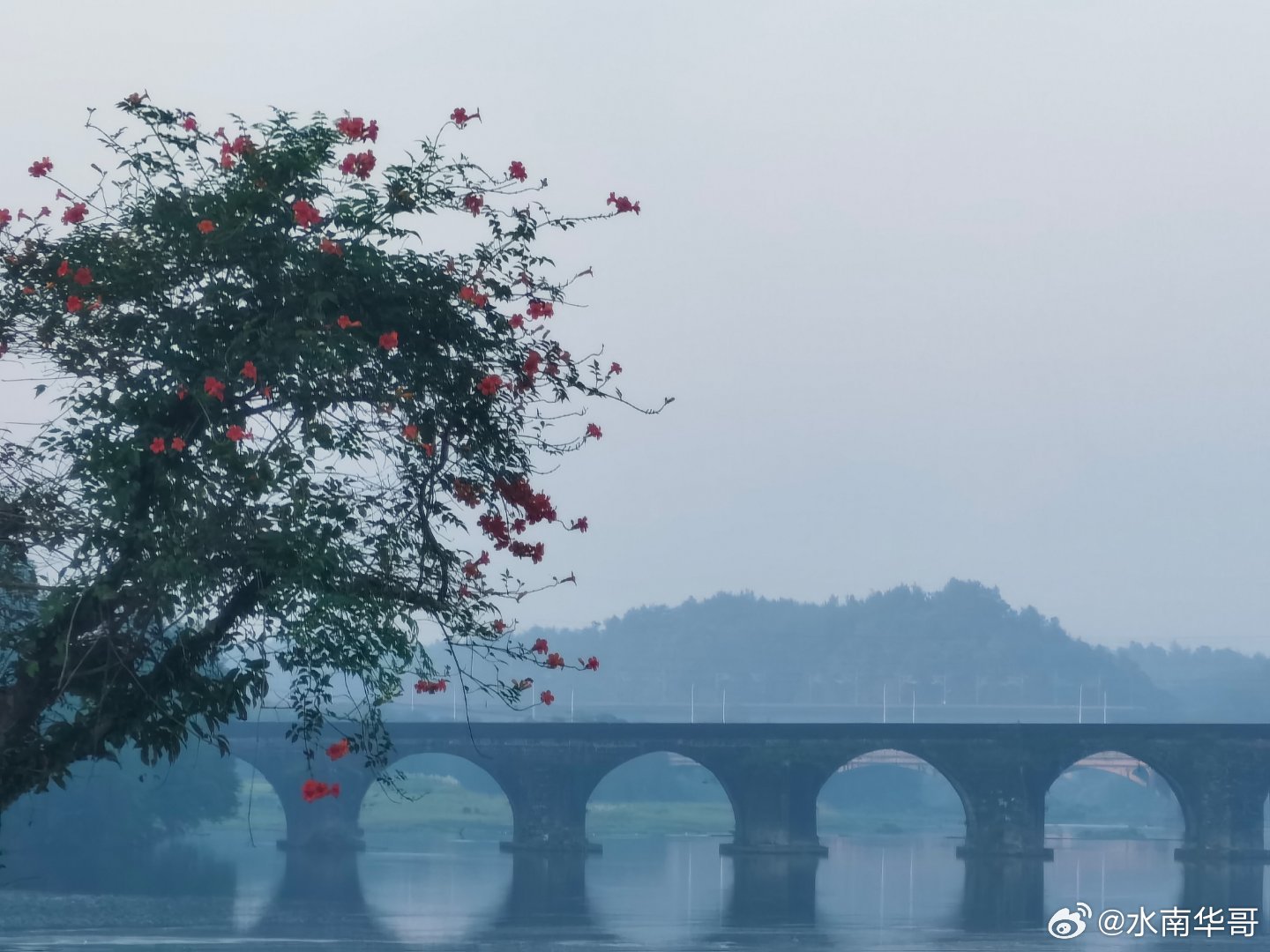【转发】

离婚放弃6岁孩子，女同事的清醒选择惹争议

身边一位女同事的离婚选择，听完让人五味杂陈。没有狗血争吵，却把成年人最现实的取舍，展现得淋漓尽致。
婚姻走到尽头，她主动放弃了6岁孩子的抚养权。最终协商结果很明确：她带走一半存款和一套小户型房产，孩子归前夫抚养。
同时她承诺，每月固 ​