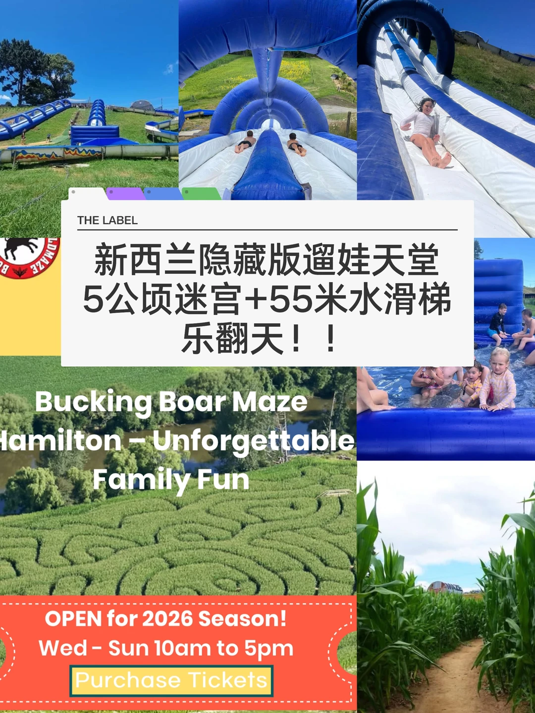 🇳🇿纽村2026夏日打卡榜！尖叫滑梯+玉米迷宫