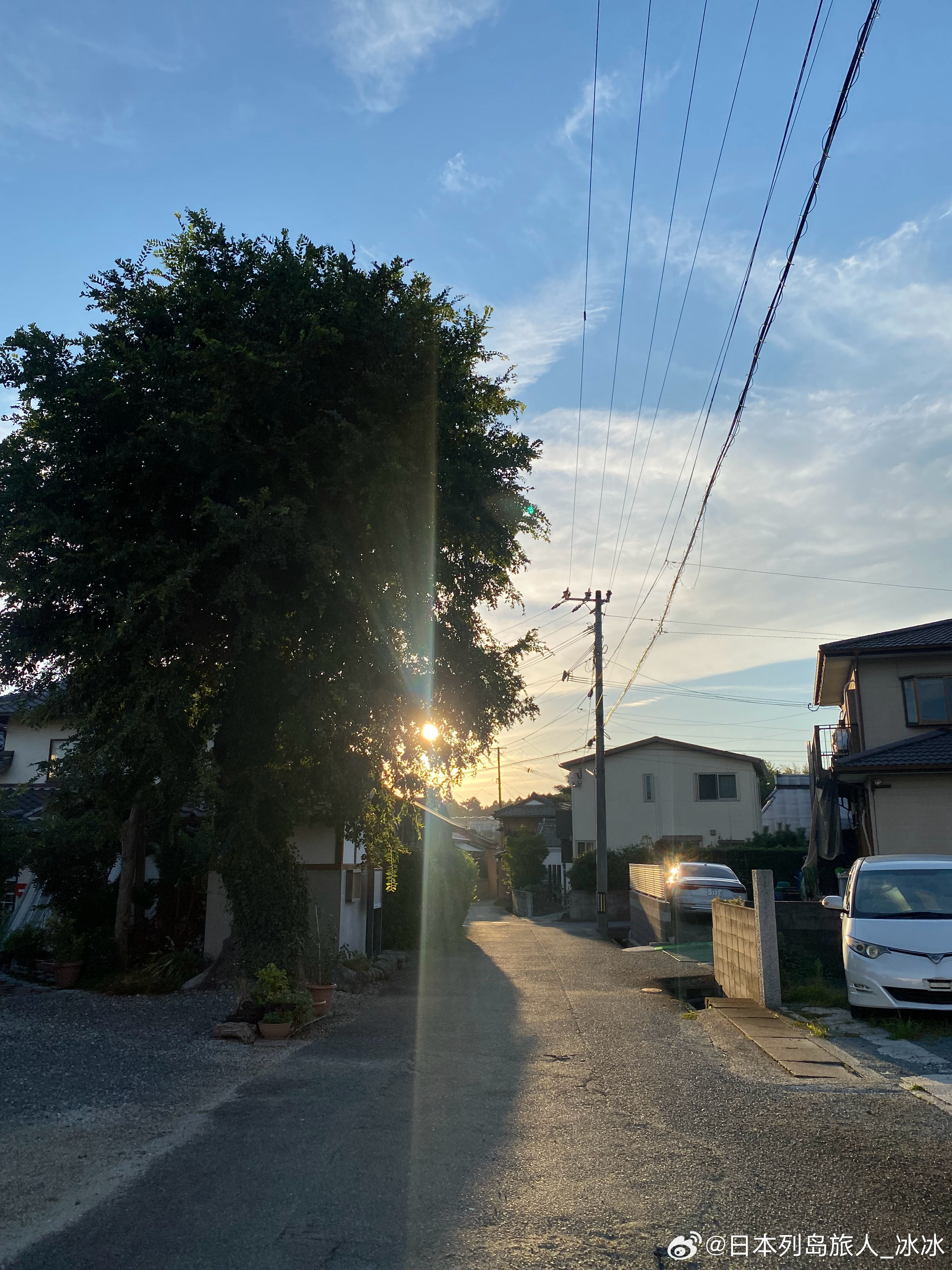 Fukuoka Japan 2026.9.15 🍀人少的地方 总有一种“包场”的感觉田地中 寻找四叶草 不过没能发现～我觉得 这种环境里 能活到一百岁吧