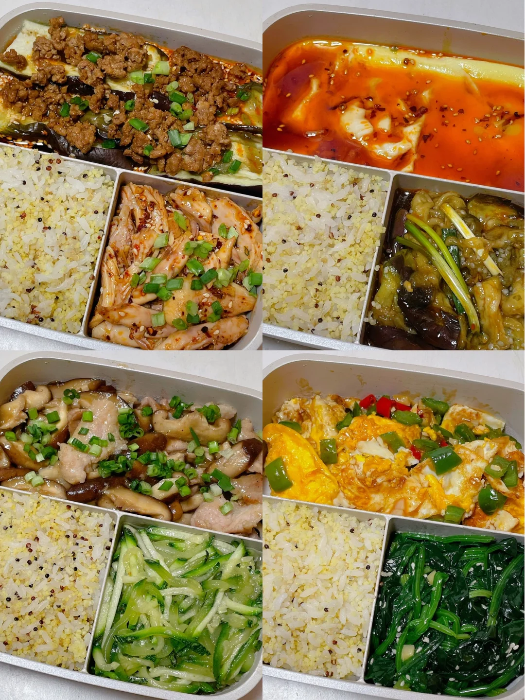 上班带饭不发愁🍱好好吃饭也能瘦